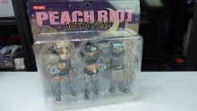 Load image into Gallery viewer, Popmart Peach Riot Witchy Punk Figures NEW
